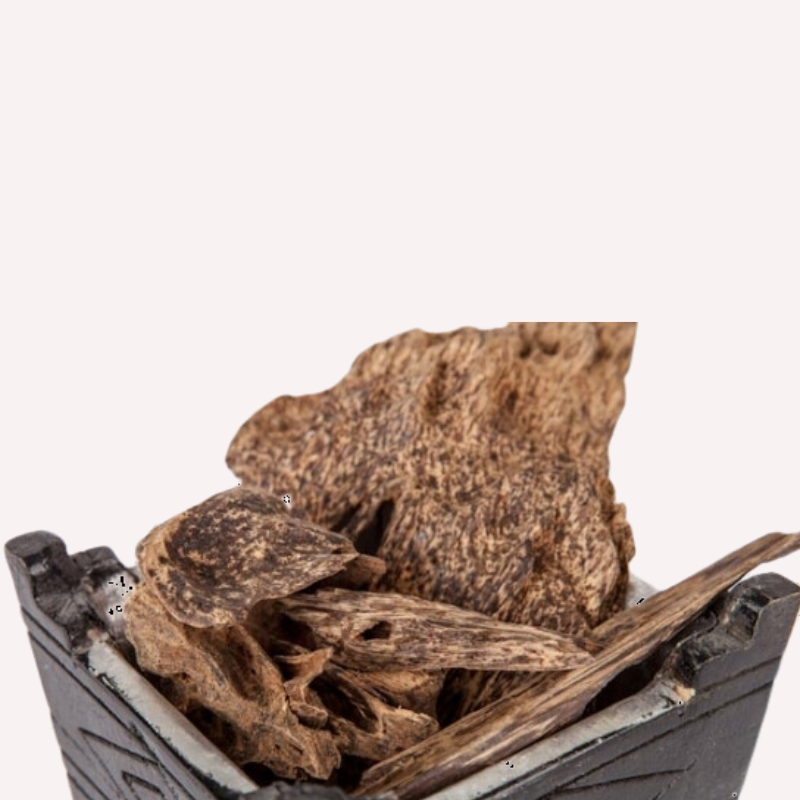 Raw Oud Wood | Oudimentary Raw Oud Collection